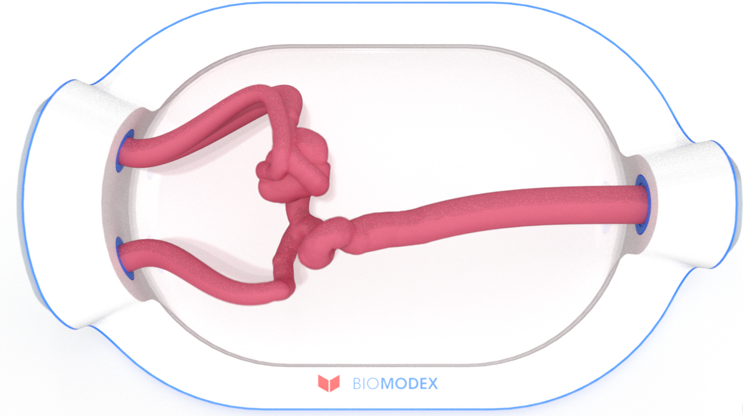 EVIAS -HMS -Cartridge - #0732