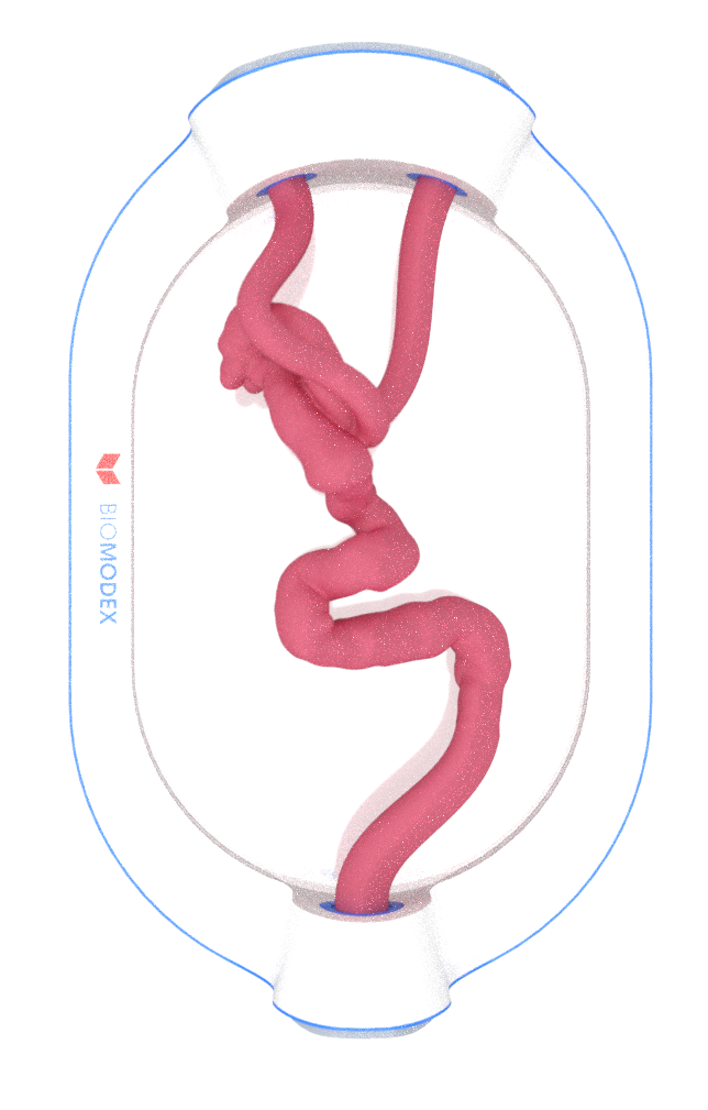 EVIAS -HMS -Cartridge - #0653