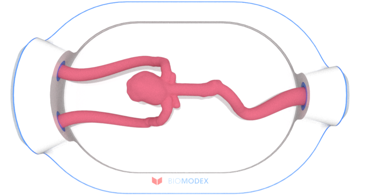 EVIAS -HMS -Cartridge - #0611