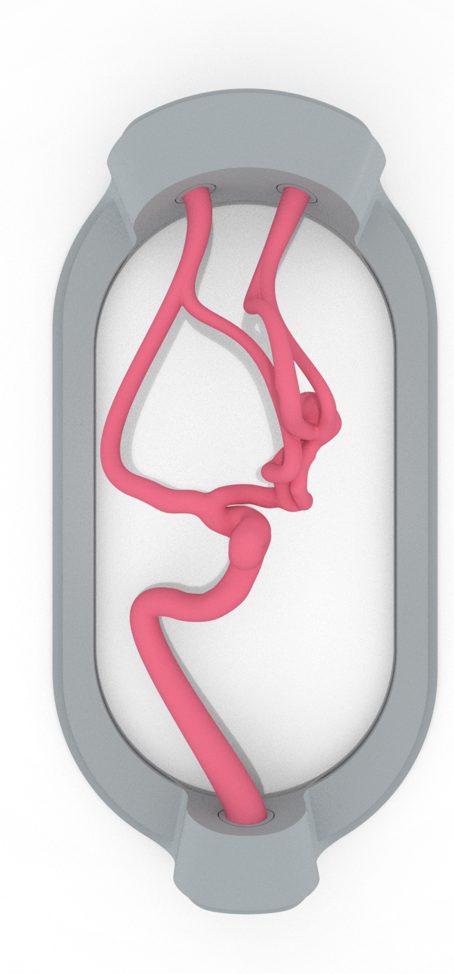 EVIAS -HMS -Cartridge - #101