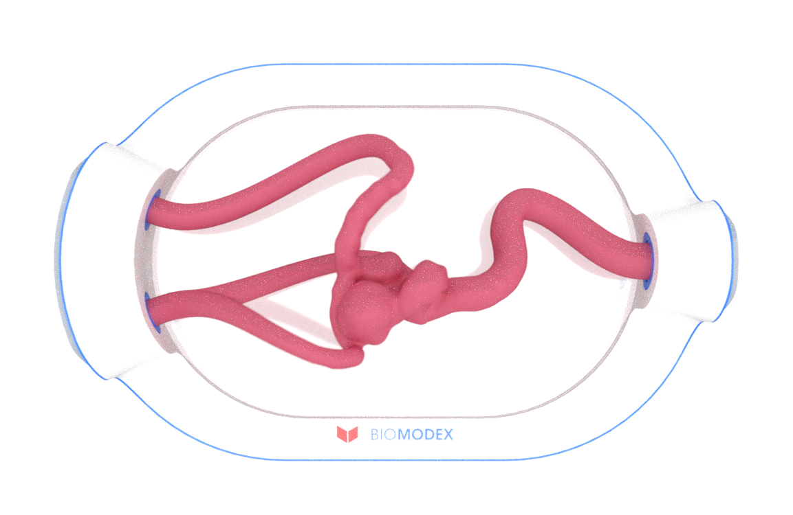 EVIAS -HMS -Cartridge - #0685