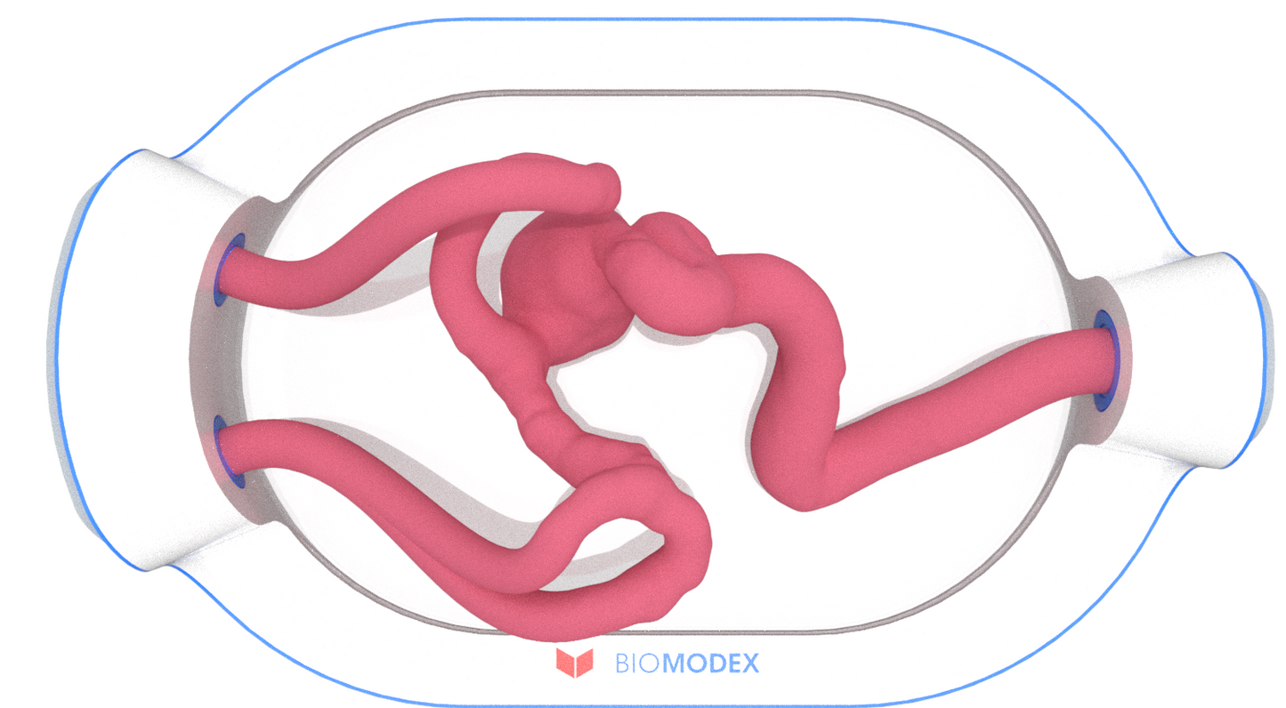 EVIAS -HMS -Cartridge - #0612