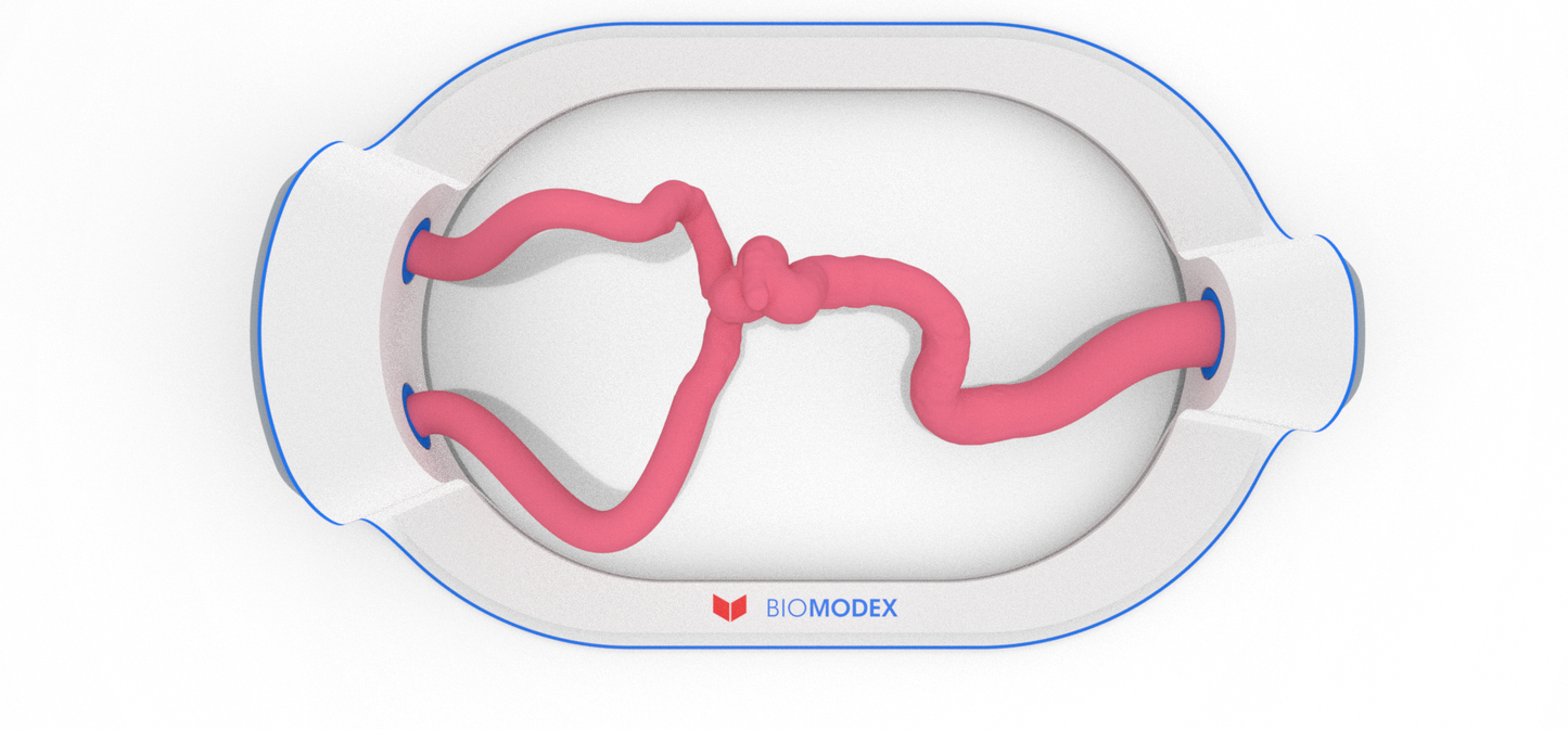 EVIAS -HMS -Cartridge - #88