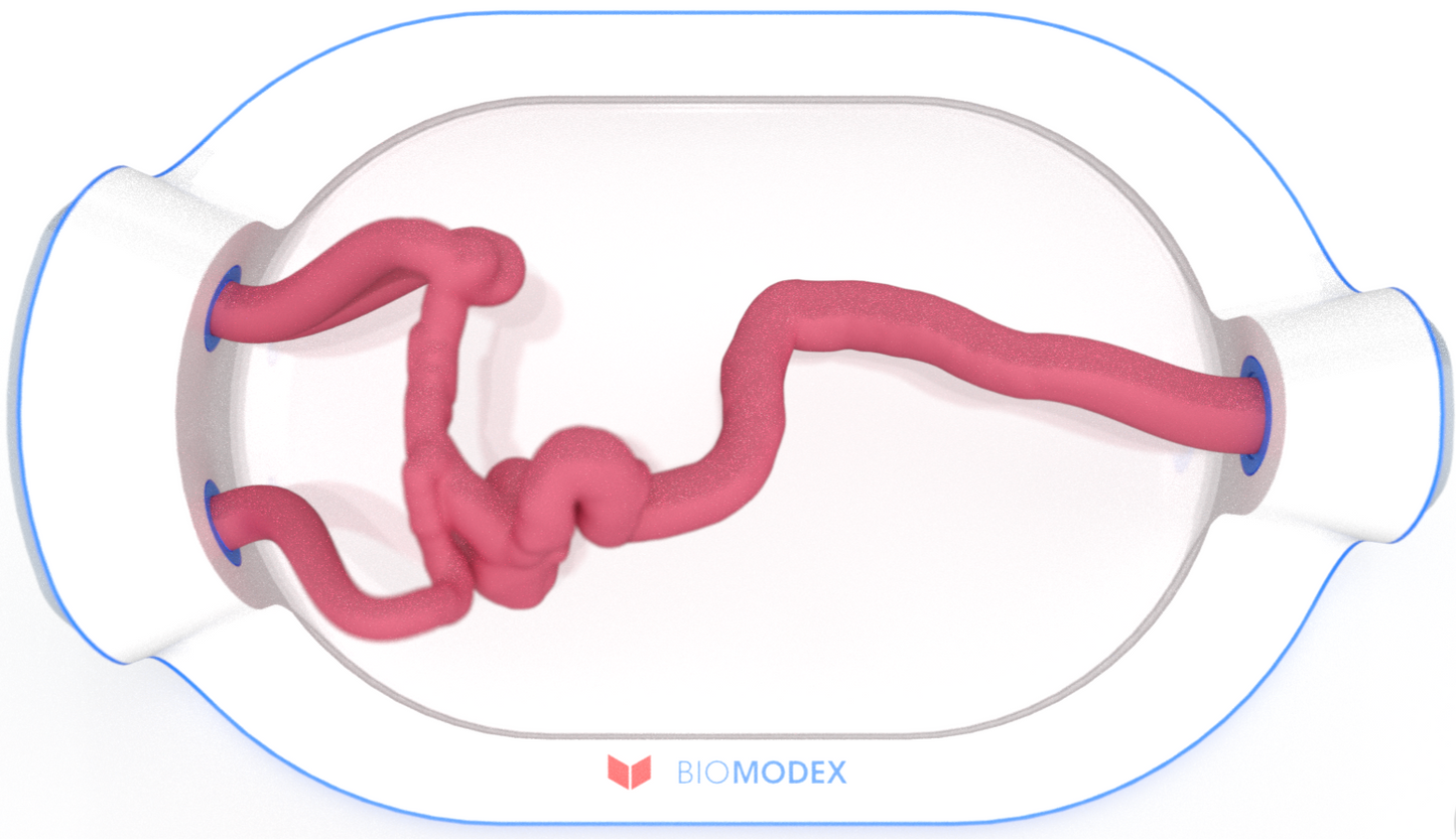 EVIAS -HMS -Cartridge - #0731