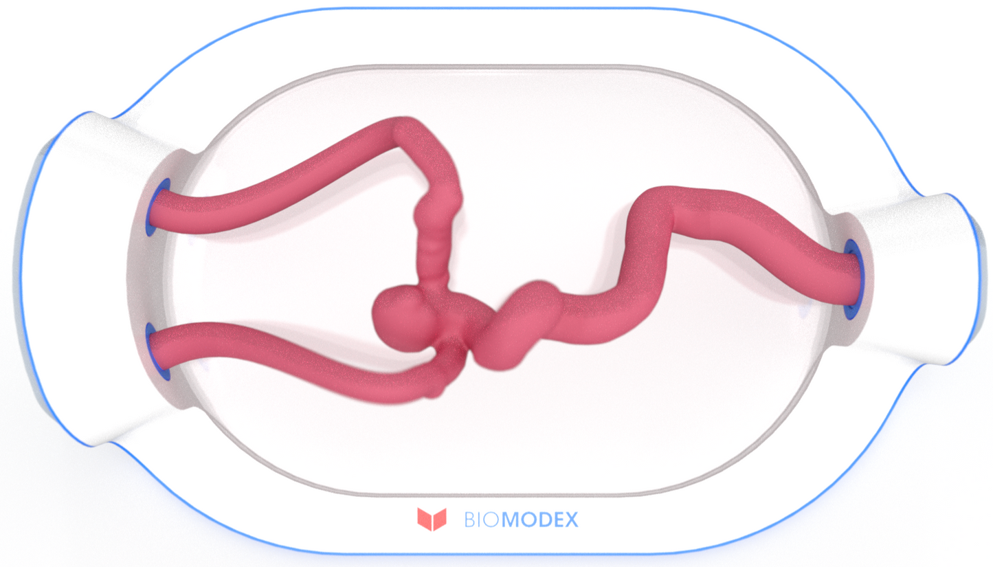 EVIAS -HMS -Cartridge - #0481