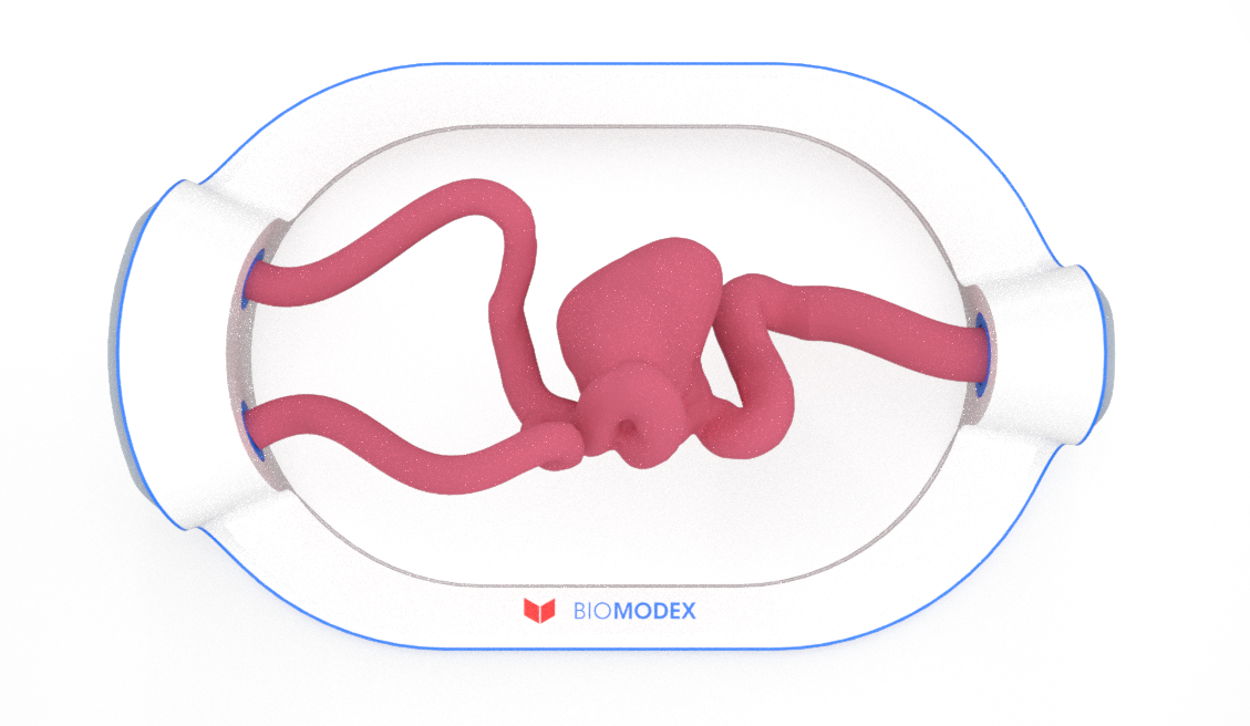 EVIAS -HMS -Cartridge - #0628