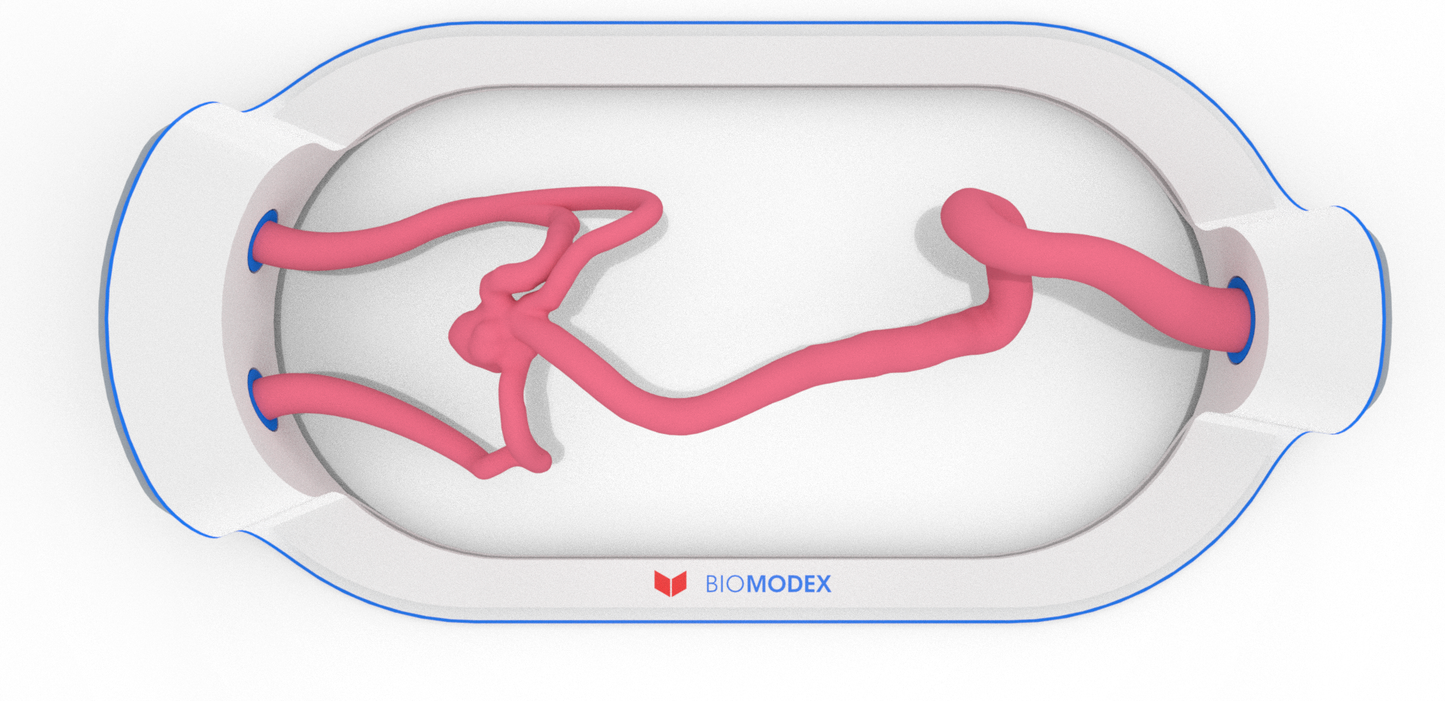 EVIAS -HMS -Cartridge - #328