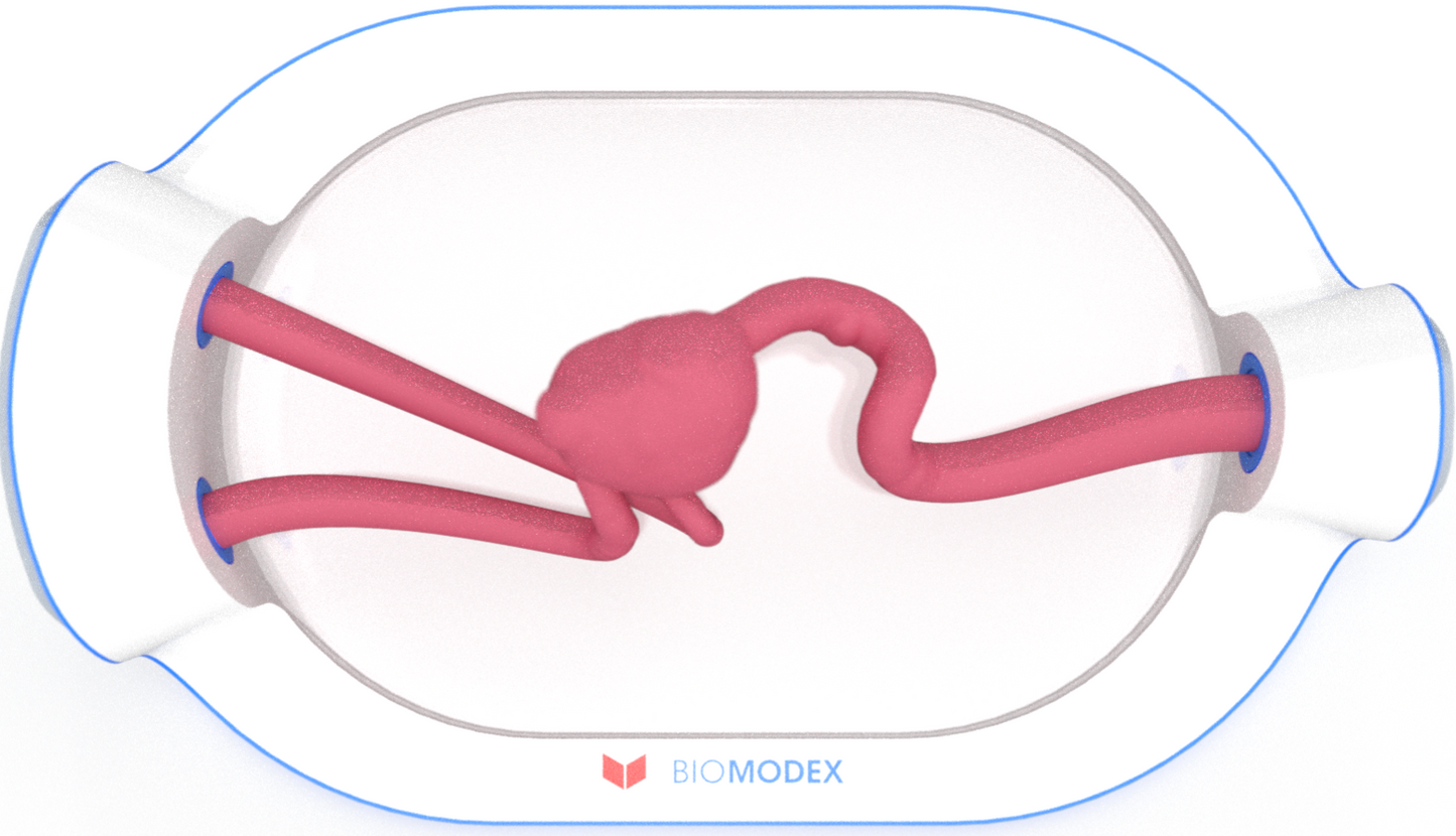 EVIAS -HMS -Cartridge - #0735