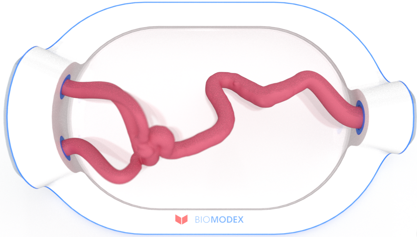 EVIAS -HMS -Cartridge - #0723