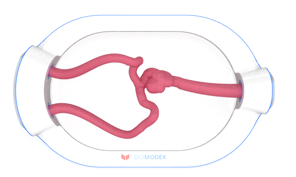 EVIAS -HMS -Cartridge - #0633