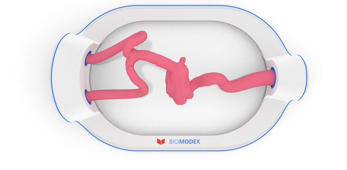 EVIAS -HMS -Cartridge - #67