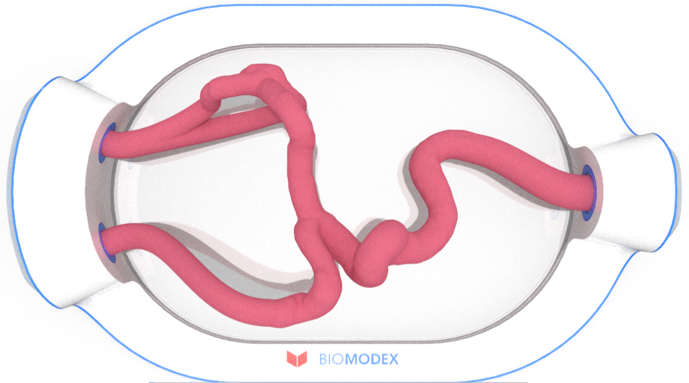 EVIAS -HMS -Cartridge - #0537