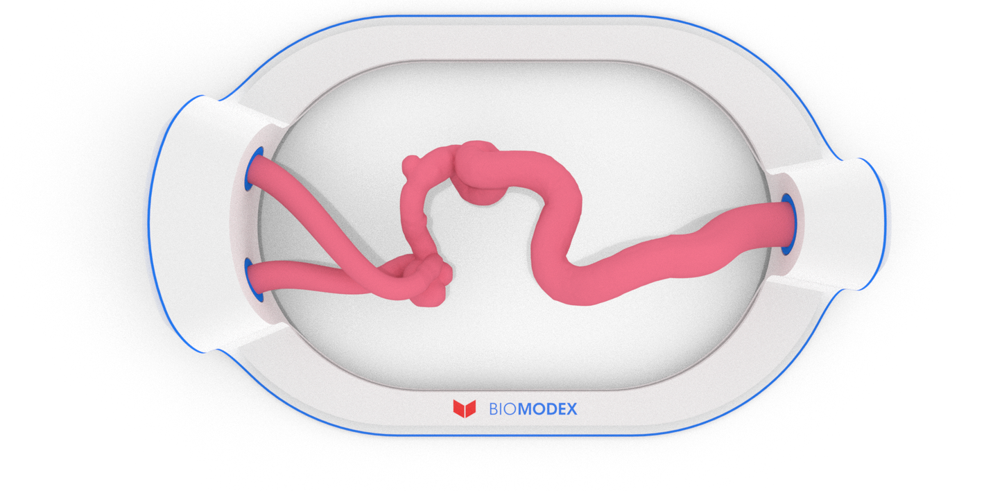 EVIAS -HMS -Cartridge - #11