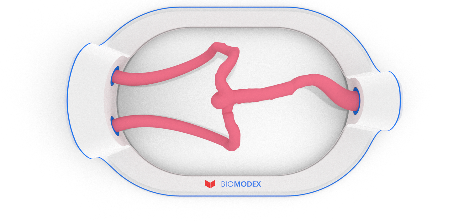 EVIAS -HMS -Cartridge - #50