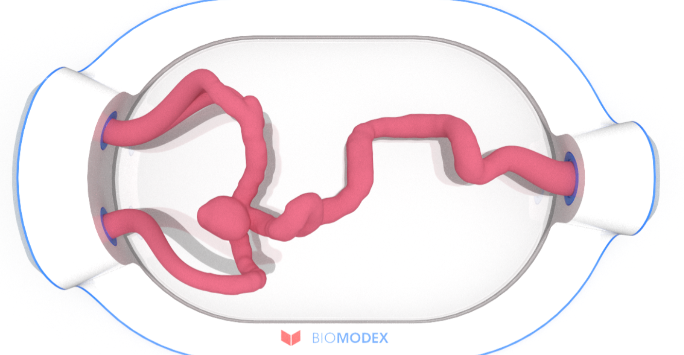 EVIAS -HMS -Cartridge - #0553