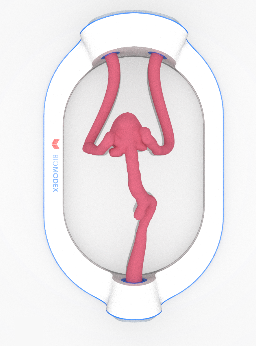 EVIAS -HMS -Cartridge - #508