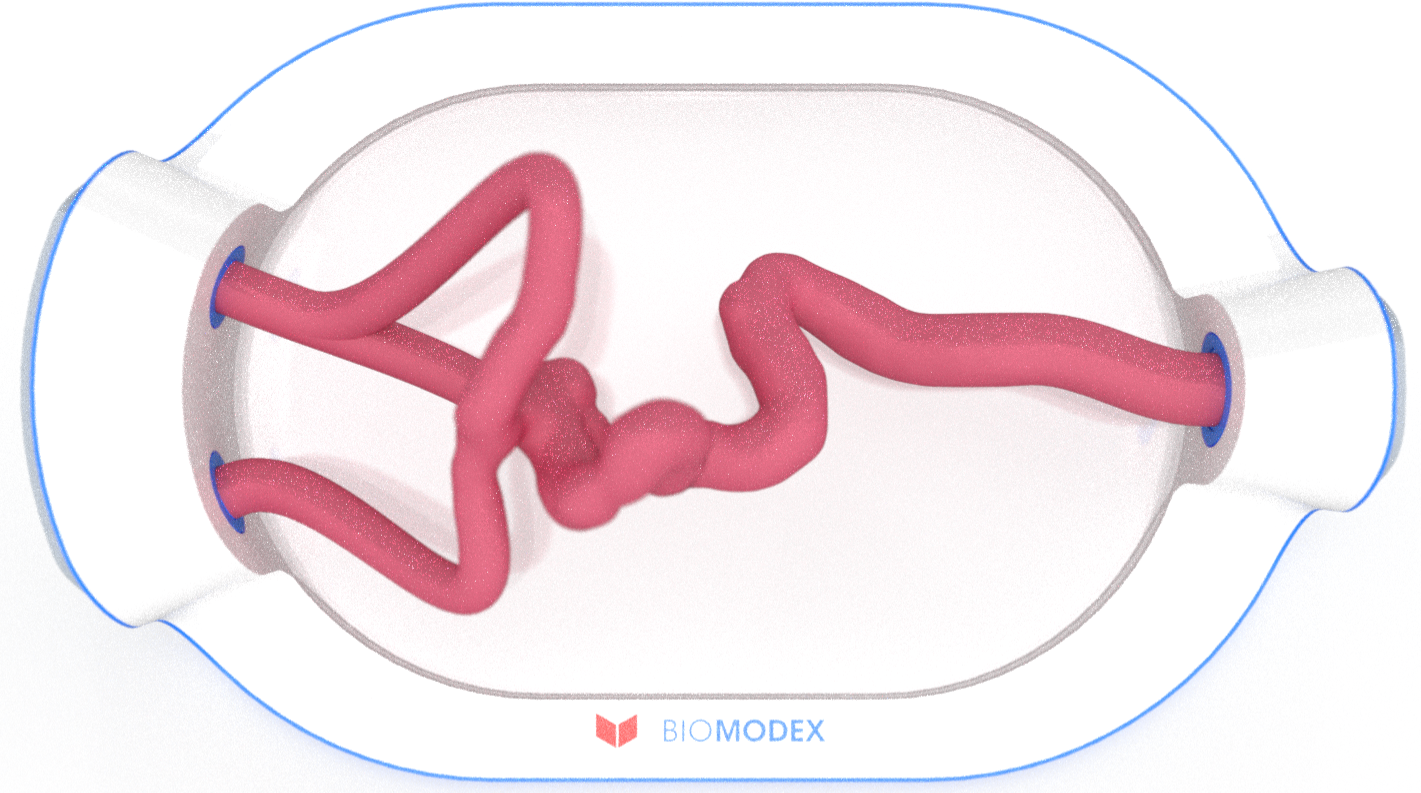 EVIAS -HMS -Cartridge - #0700