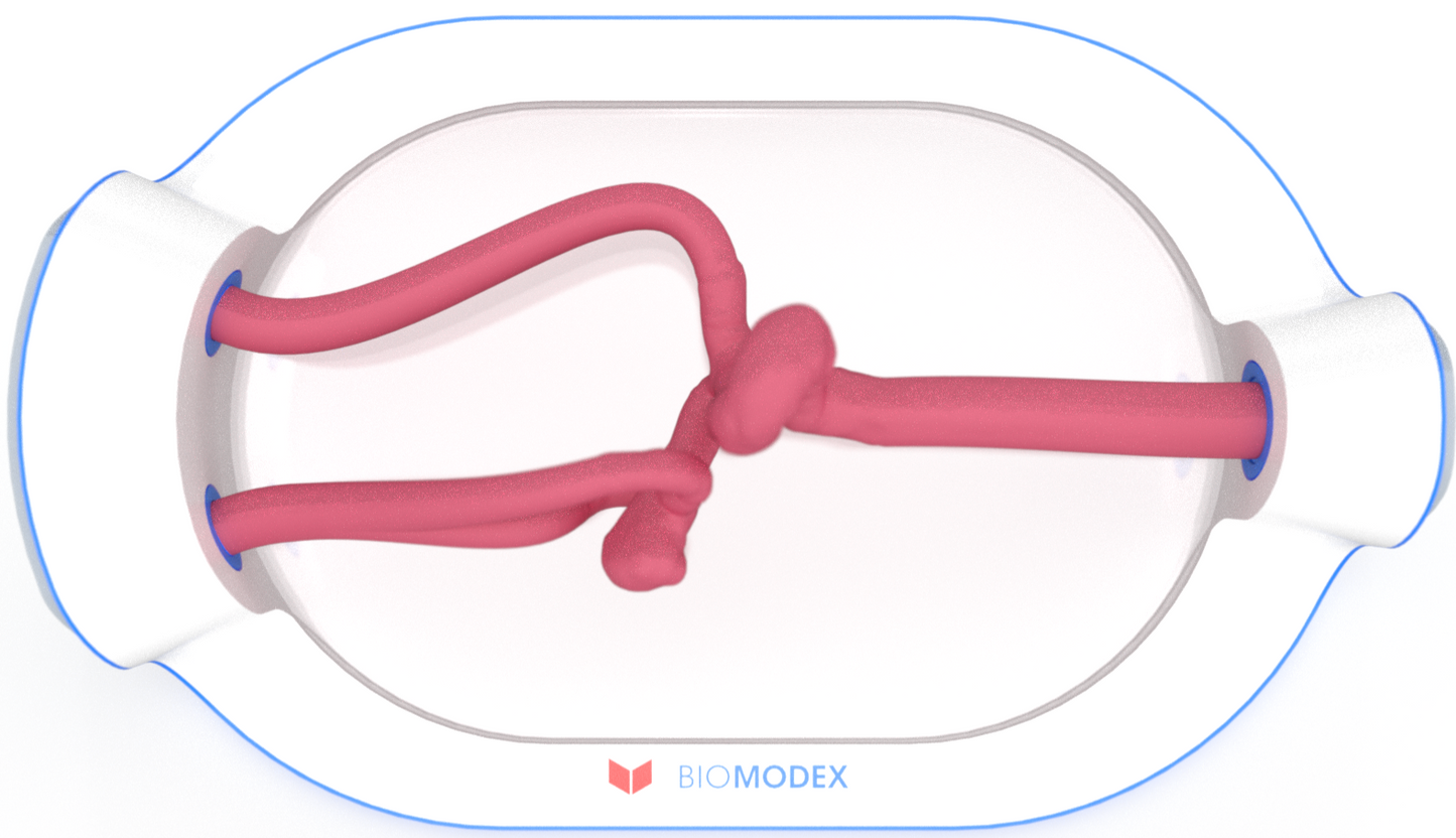 EVIAS -HMS -Cartridge - #0722