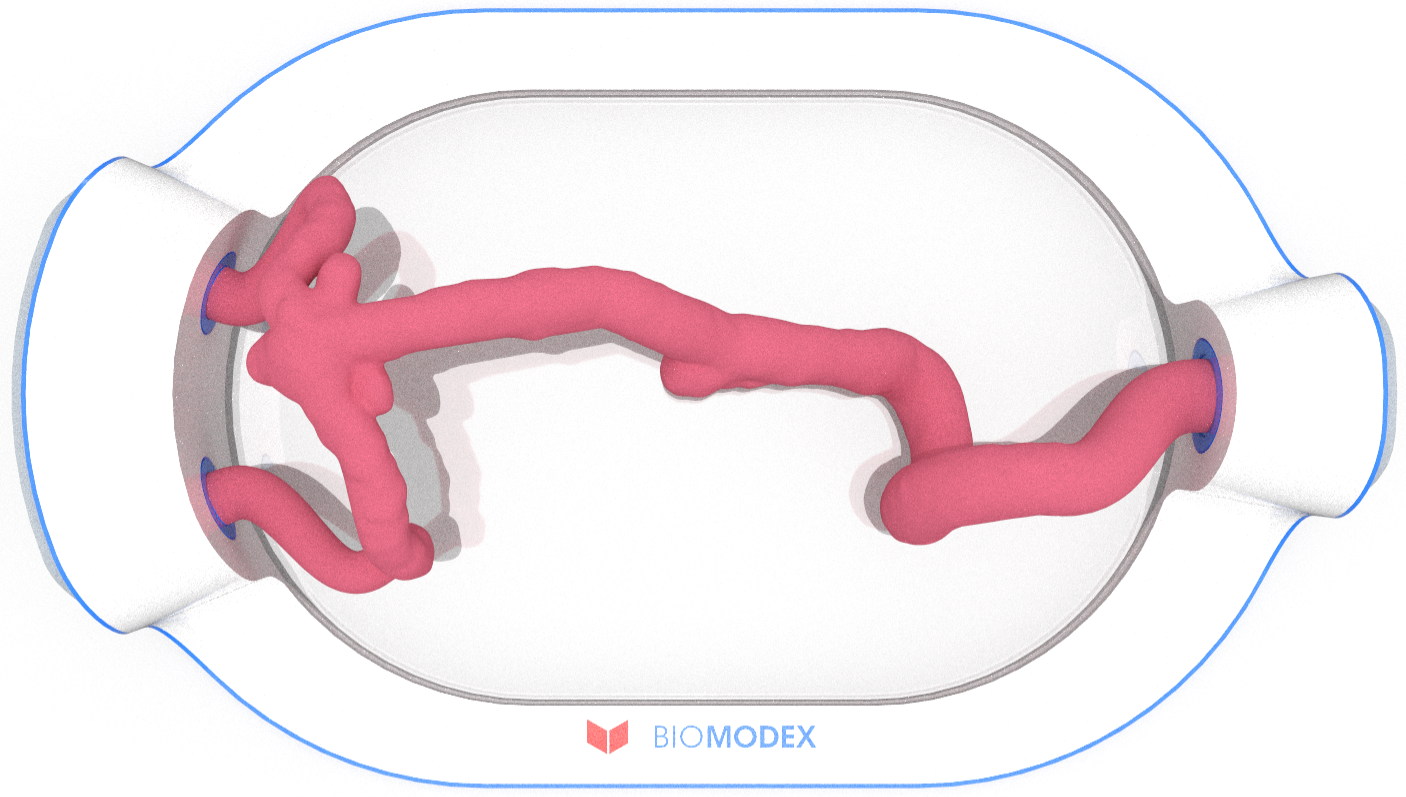 EVIAS -HMS -Cartridge - #0538