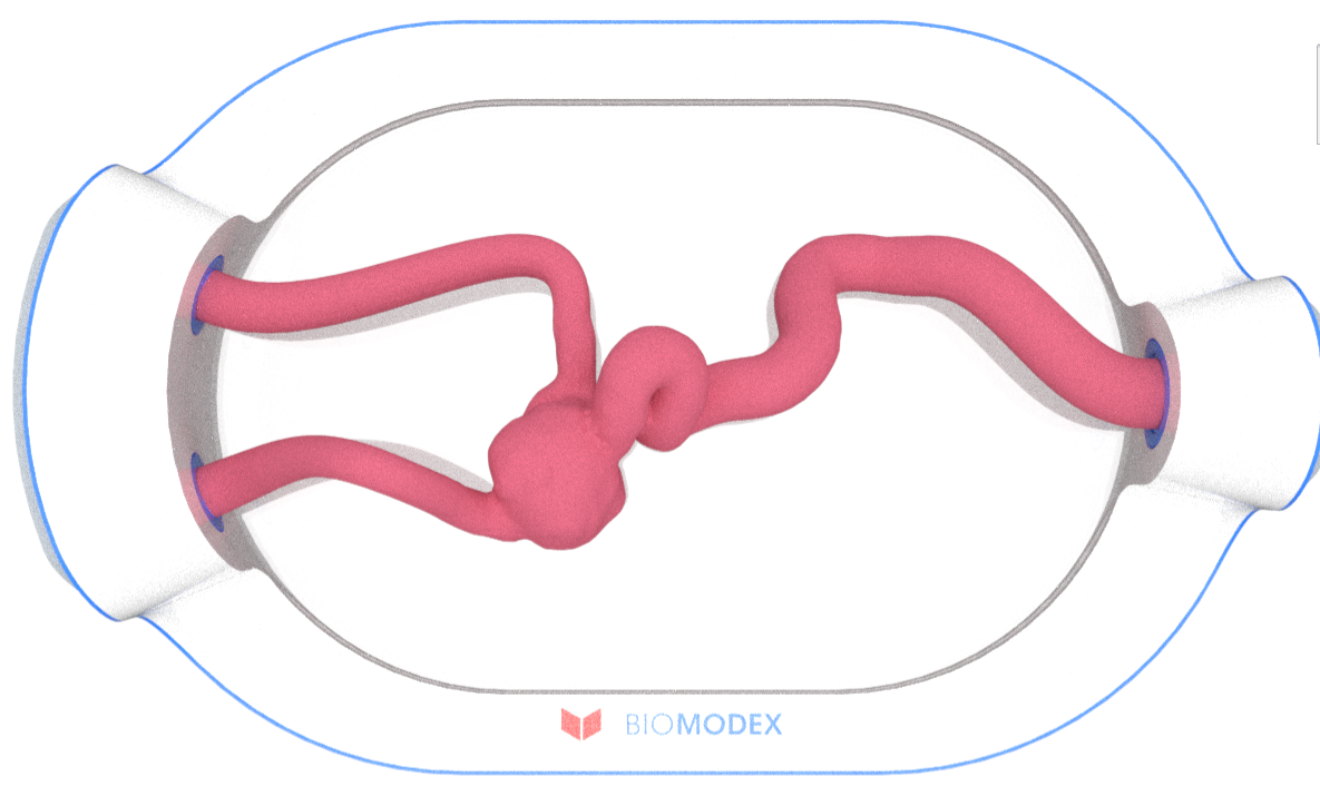 EVIAS -HMS -Cartridge - #0608