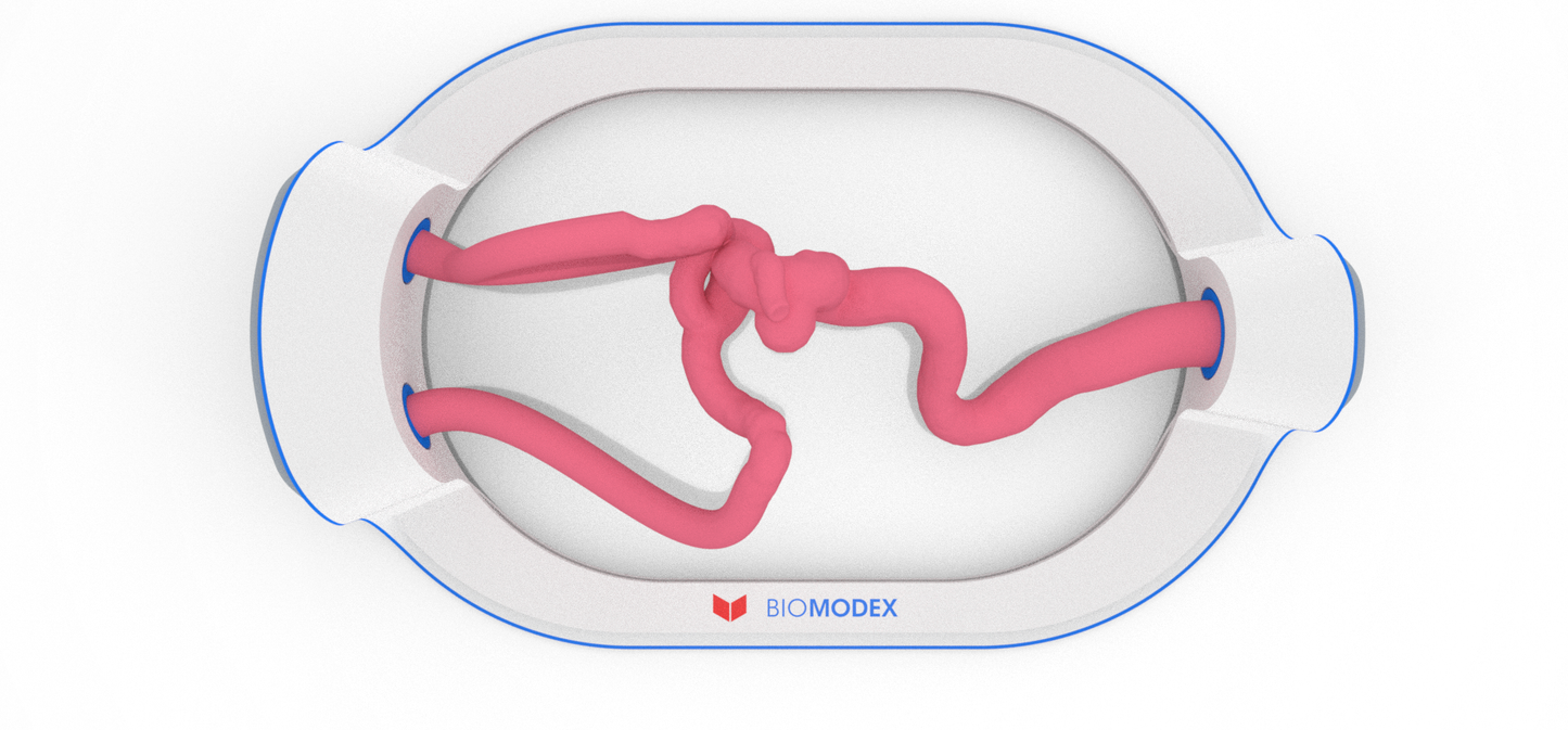 EVIAS -HMS -Cartridge - #87