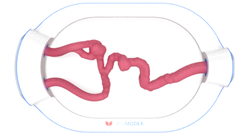 EVIAS -HMS -Cartridge - #0694