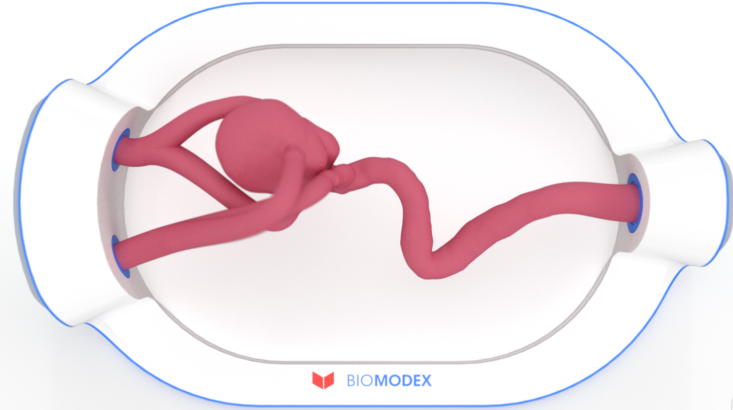 EVIAS -HMS -Cartridge - #0754