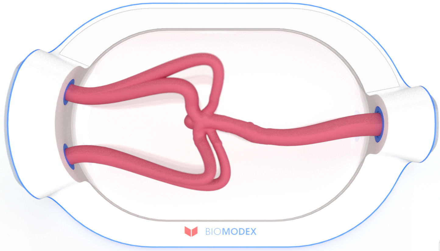 EVIAS -HMS -Cartridge - #0728