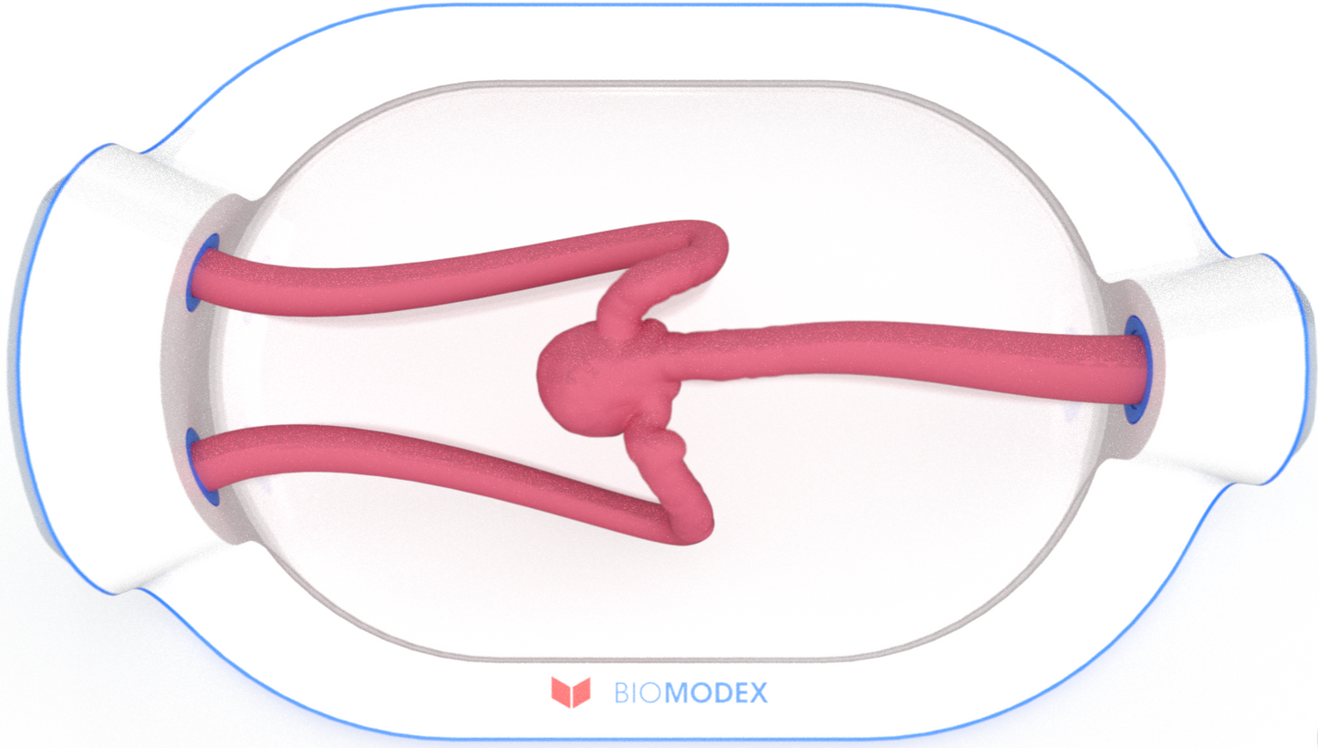 EVIAS -HMS -Cartridge - #0736