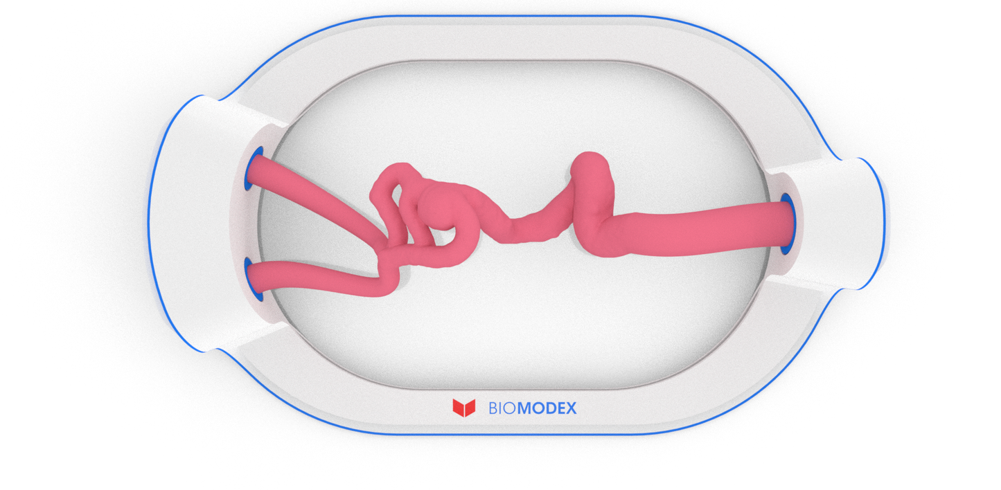 EVIAS -HMS -Cartridge - #35