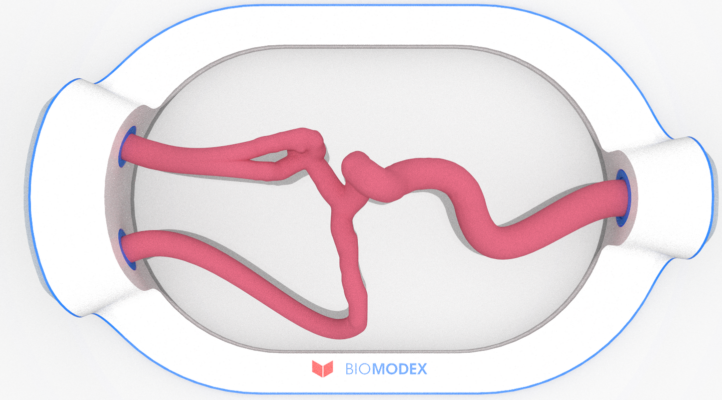 EVIAS -HMS -Cartridge - #0515