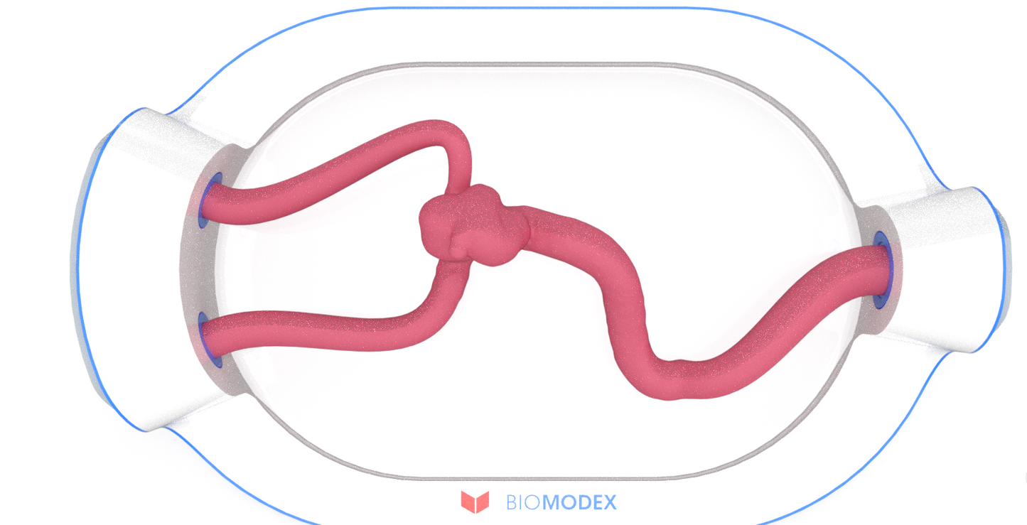 EVIAS -HMS -Cartridge - #0645