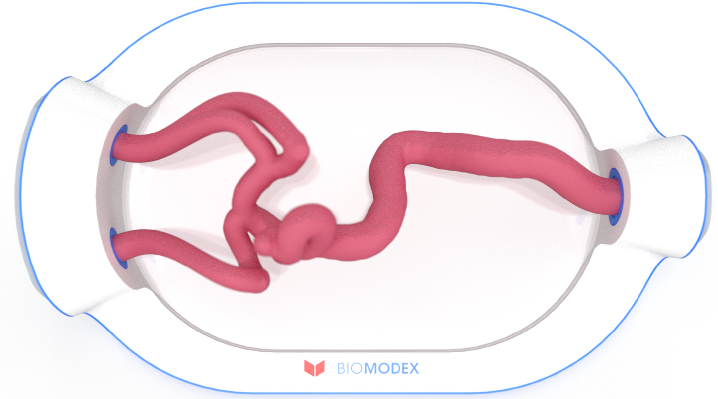 EVIAS -HMS -Cartridge - #0740