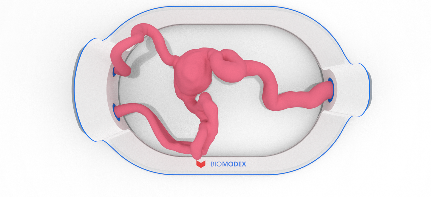 EVIAS -HMS -Cartridge - #221