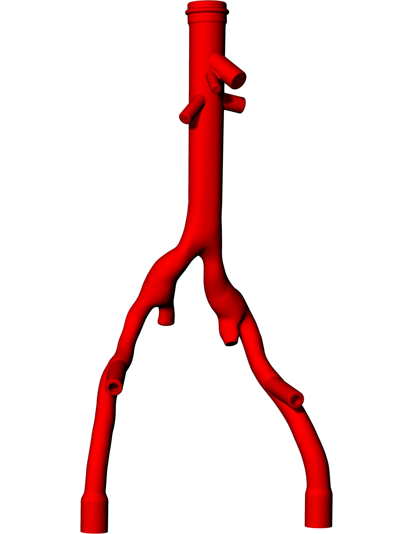 Abdominal Aorta Model - AA009