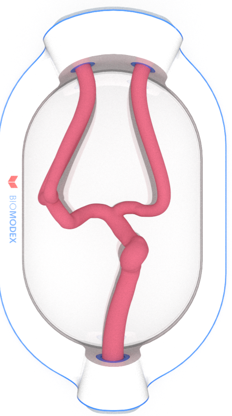 EVIAS -ISS -Cartridge - #0001 Hard
