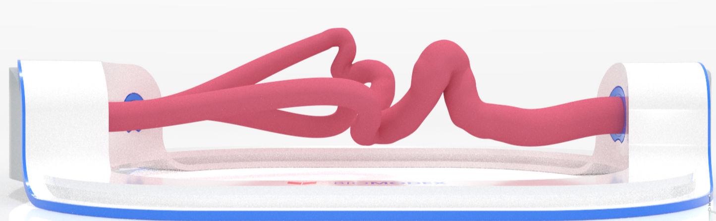 EVIAS -ISS -Cartridge - Clear#0001 Medium