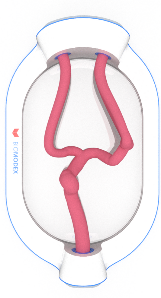 EVIAS -ISS -Cartridge - #0001 Medium