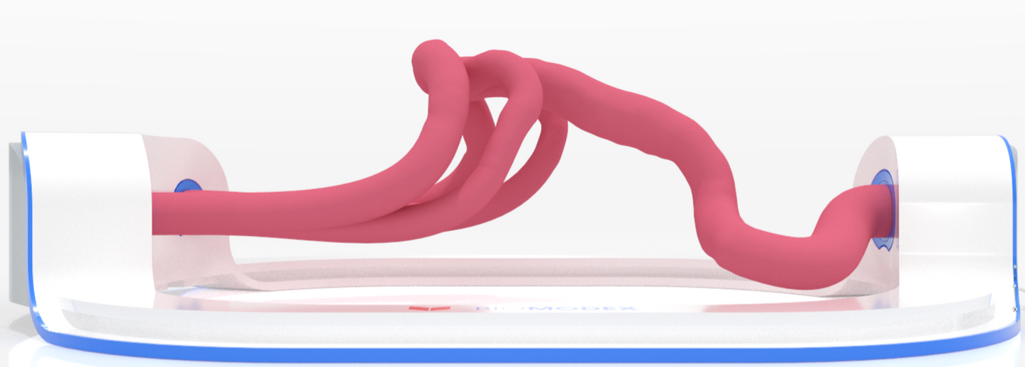 EVIAS -ISS -Cartridge -LS - Clear#0002 Hard