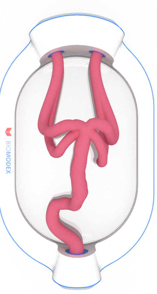 EVIAS -ISS -Cartridge -LS - #0002 Hard