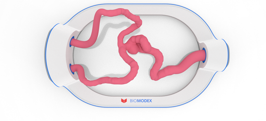 EVIAS -HMS -Cartridge - #347