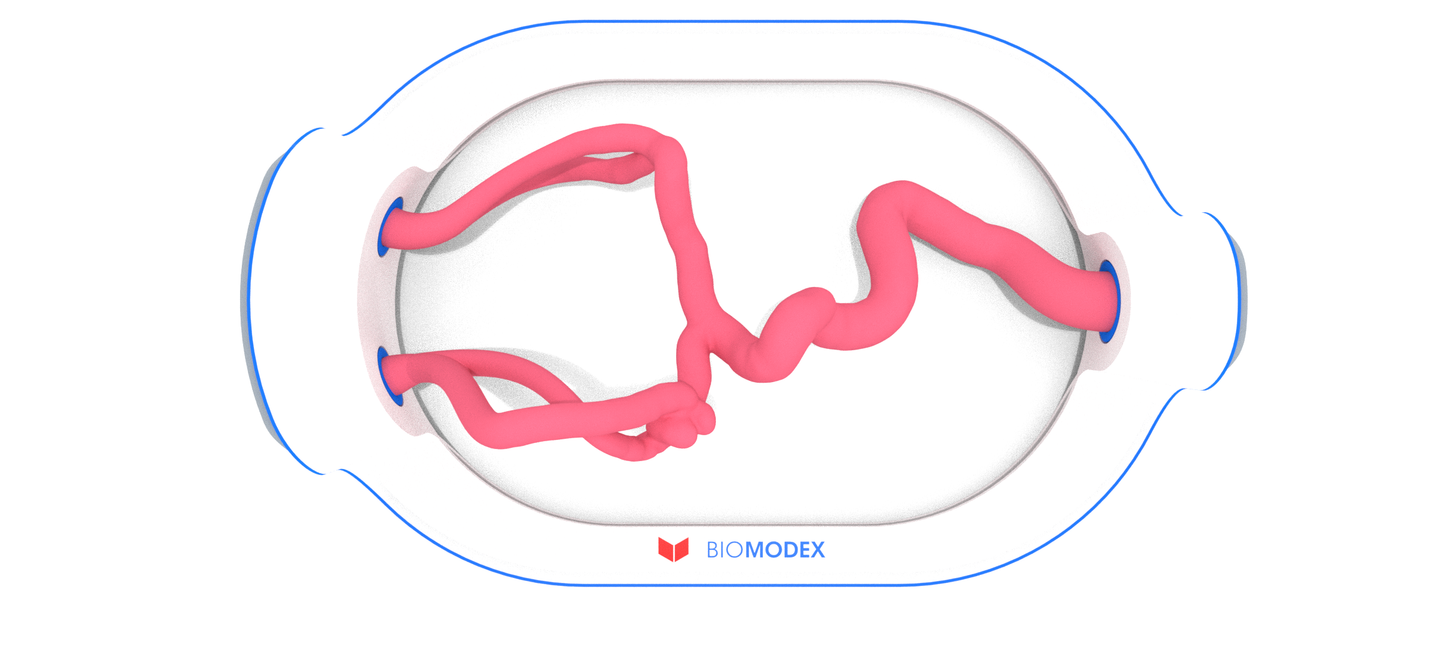 EVIAS -HMS -Cartridge - #265