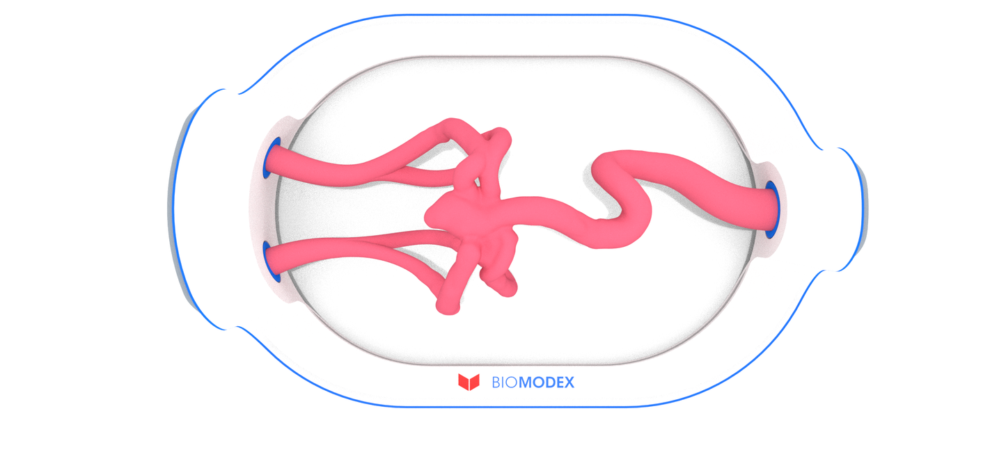 EVIAS -HMS -Cartridge - #281