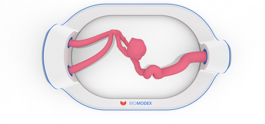 EVIAS -HMS -Cartridge - #317