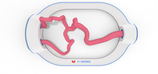 EVIAS -HMS -Cartridge - #319
