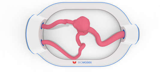 EVIAS -HMS -Cartridge - #320