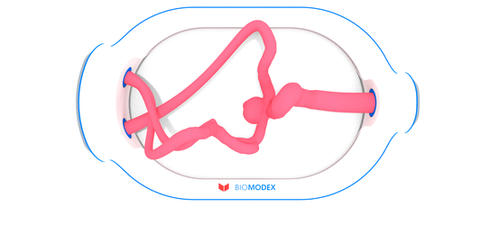 EVIAS -HMS -Cartridge - #341