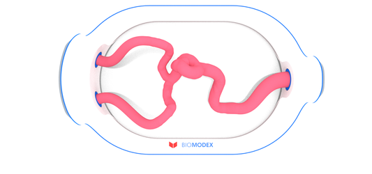 EVIAS -HMS -Cartridge - #349