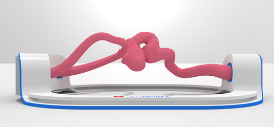 EVIAS -HMS -Cartridge - #0106