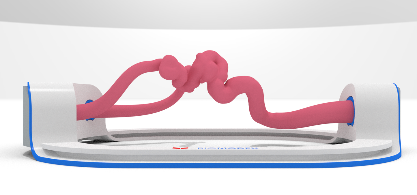 EVIAS -HMS -Cartridge - Clear#33